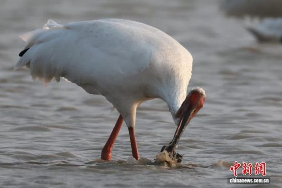 �����ϲ�����Ⱥ���B۶ꖺ��ϗ�ϢҒʳ